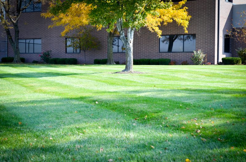 lawn-care kc