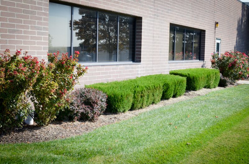 Landscape Gallery H And R Lawn And Landscape – Residential Lawn Get Started Today - Landscape Gallery H And R Lawn And Landscape – Residential Lawn