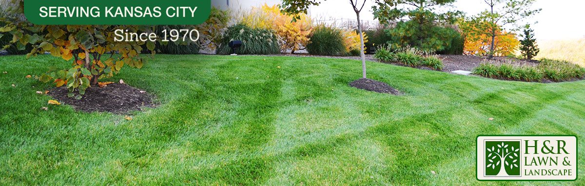 landscaping-overland-park